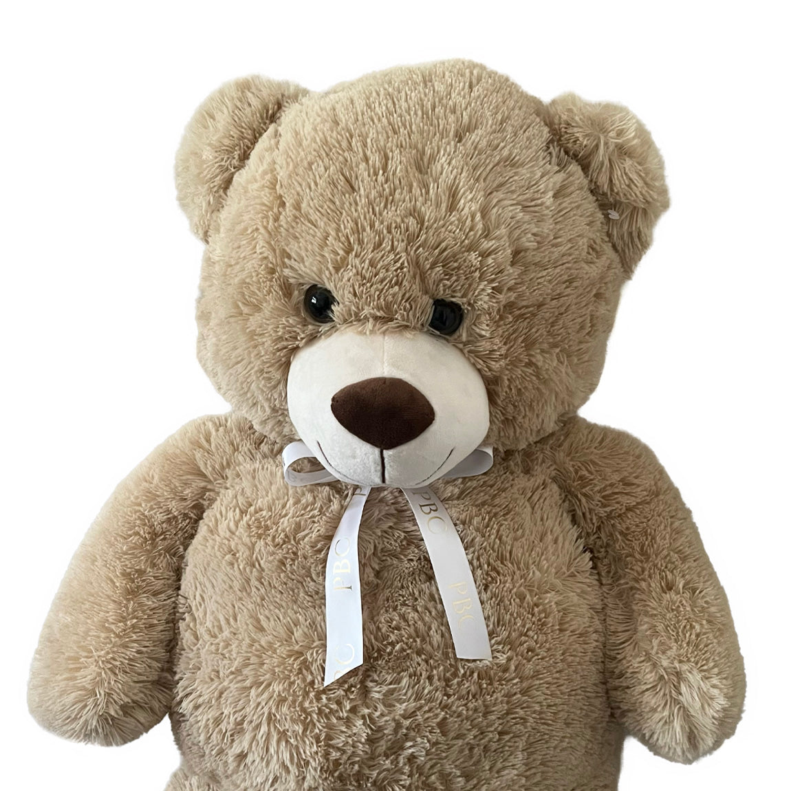 Closeup of 100cm Brown Teddy Bear