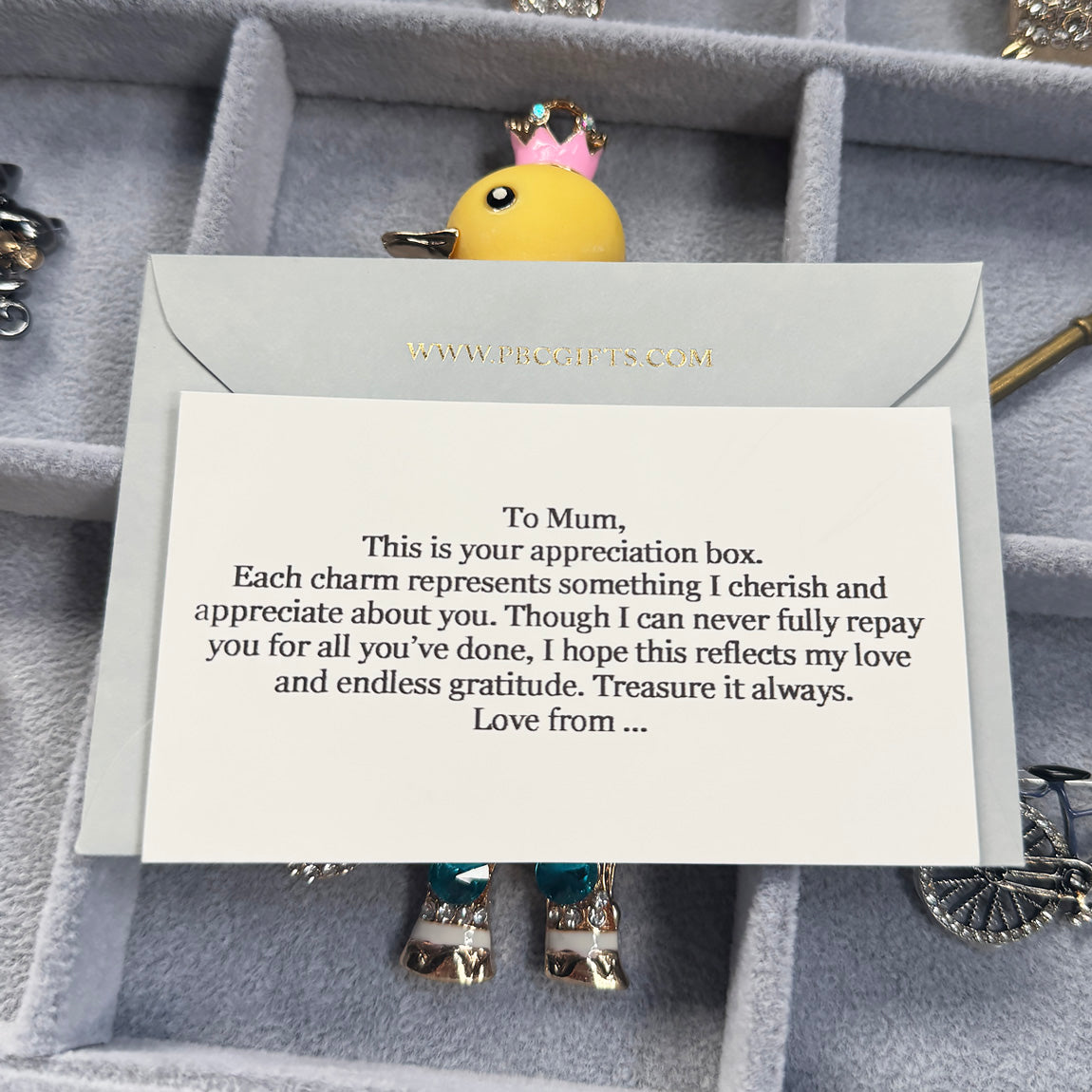 Mother's Day Appreciation Box (From Son)