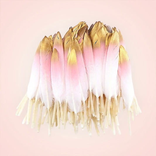 5 Pink & Gold Goose Feathers