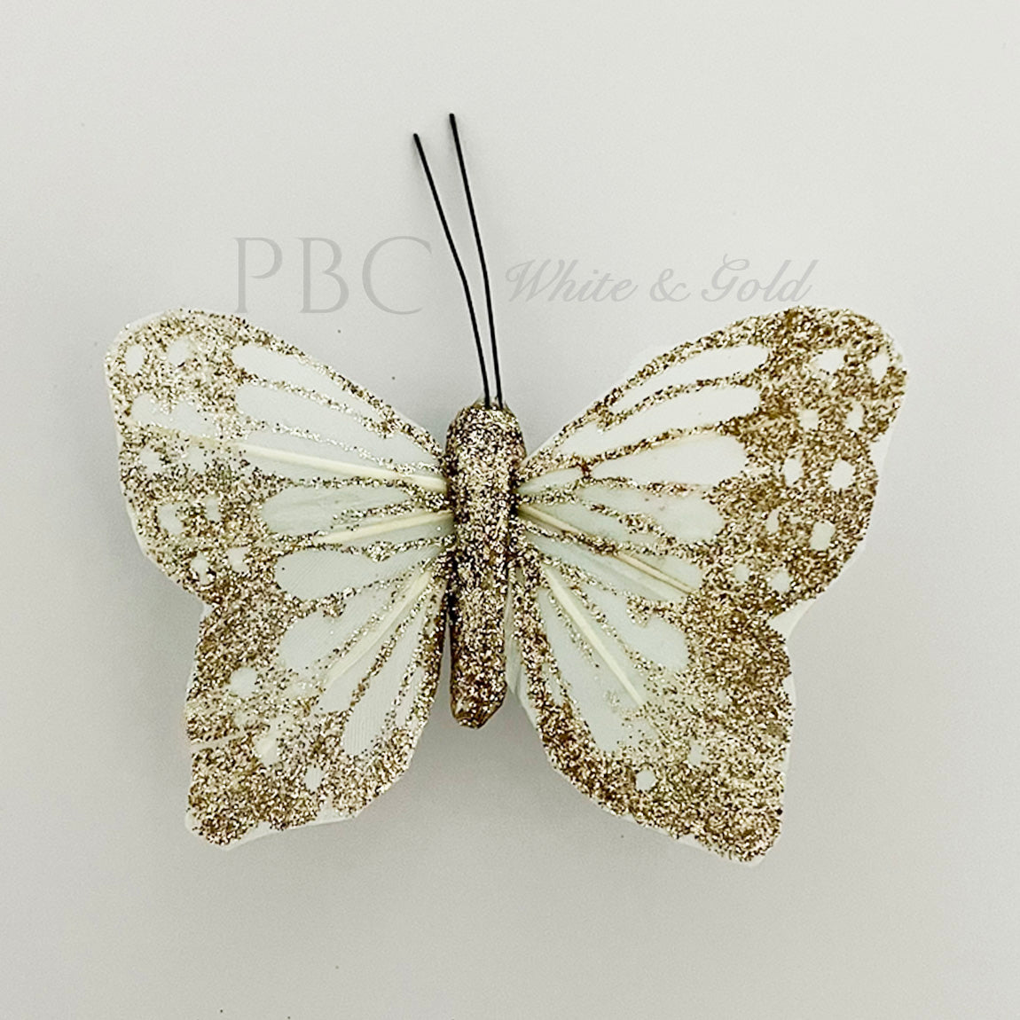 White and Gold Butterfly